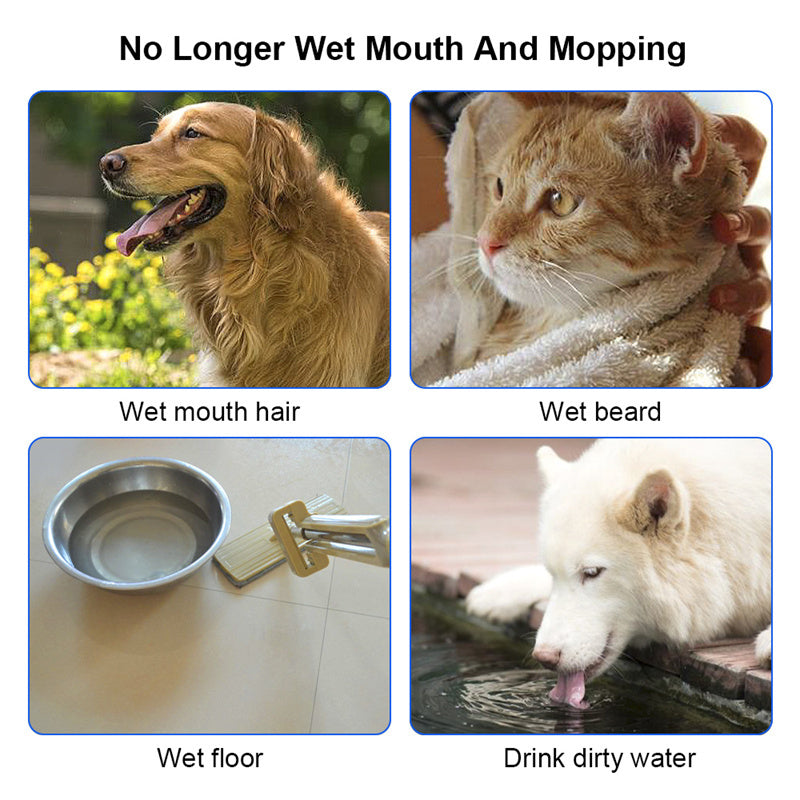 Portable Pet Water Bowl | Anti-Overflow Slow Feeder